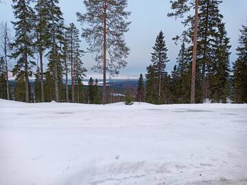 Фото номера Шале с двумя спальнями Кемпинги Ristijärven Pirtti Cottage Village г. Ристиярви 4